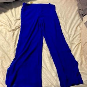 Blue nylon Capri pants- zip up waist. Never worn, tags on